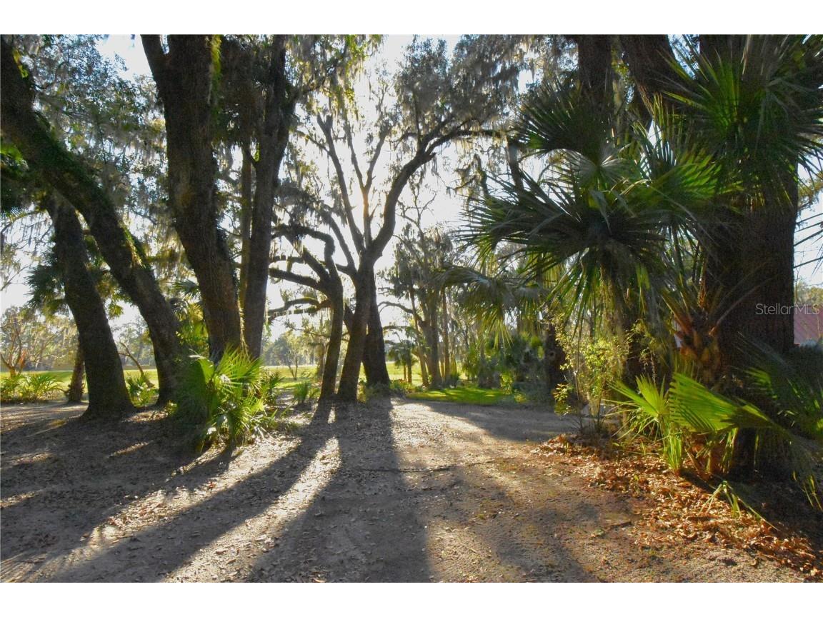 1302 SE Wacahoota Road Micanopy FL 32667 GC528567 image30