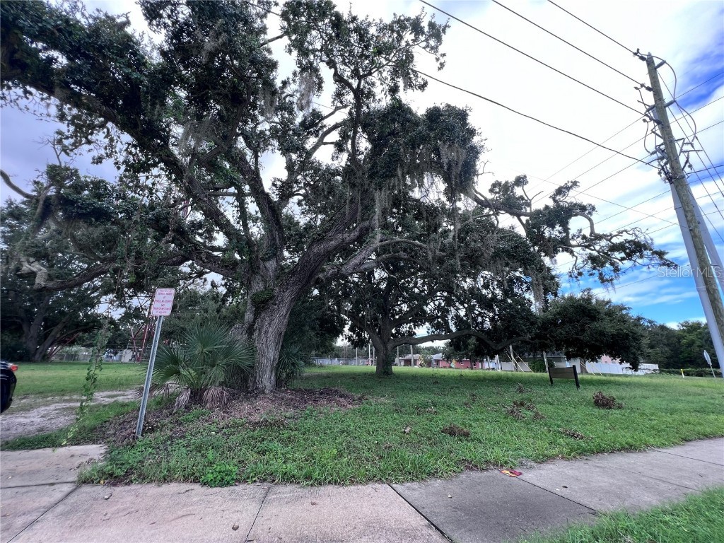 1302 Sunset Pt Rd Clearwater FL 33755 W7877665 image8