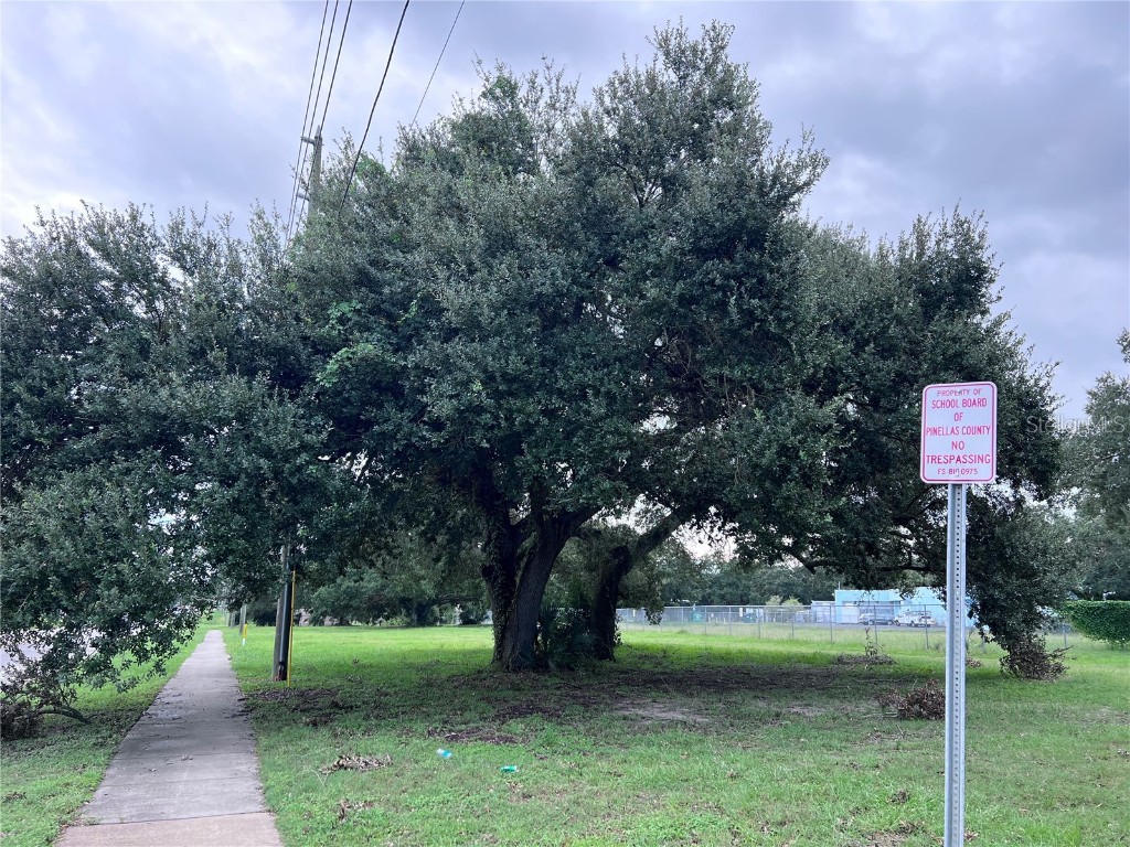 1302 Sunset Pt Rd Clearwater FL 33755 W7877665 image9