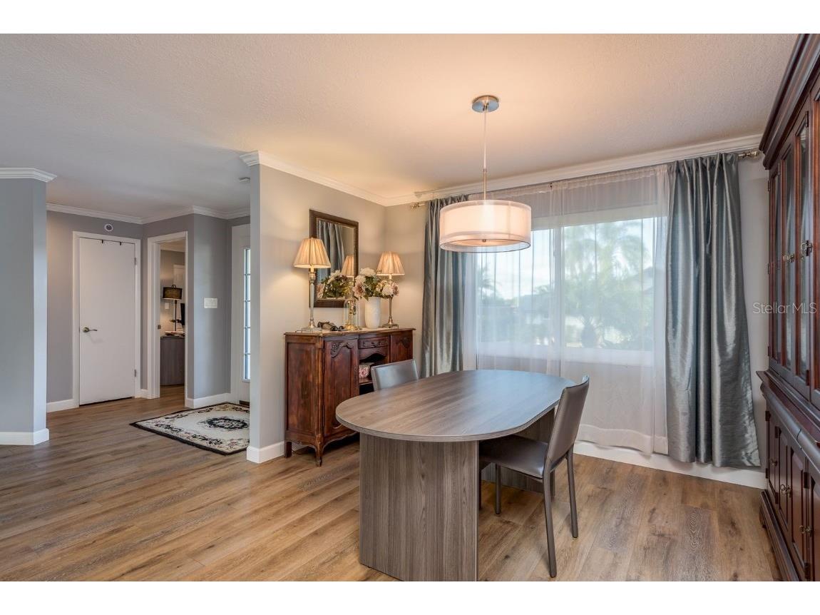 1302 Sutton Place Drive Palm Harbor FL 34683 TB8449003 image12