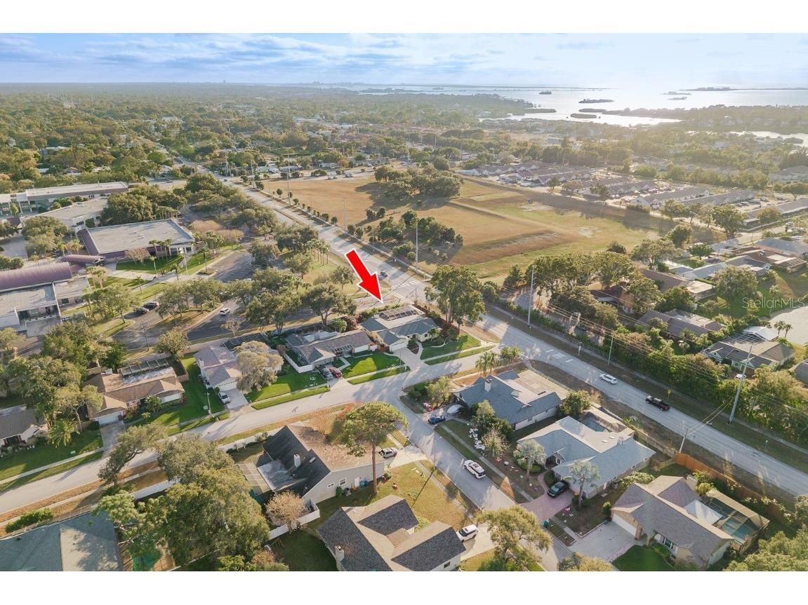 1302 Sutton Place Drive Palm Harbor FL 34683 TB8449003 image2