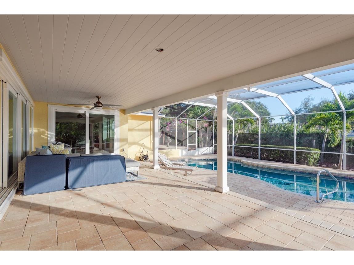 1302 Sutton Place Drive Palm Harbor FL 34683 TB8449003 image41