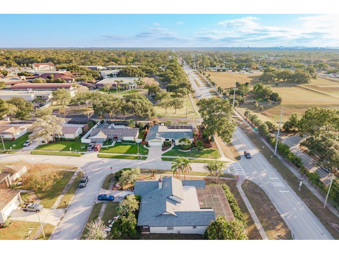 1302 Sutton Place Drive Palm Harbor FL 34683 TB8449003 image57