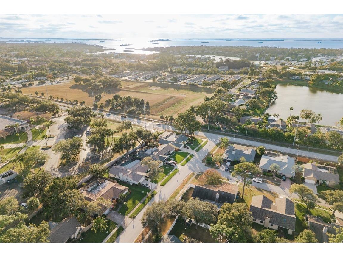 1302 Sutton Place Drive Palm Harbor FL 34683 TB8449003 image58