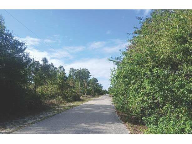 1302 Willard Avenue Lehigh Acres FL 33972 O6400552 image1