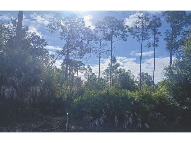 1302 Willard Avenue Lehigh Acres FL 33972 O6400552 image2