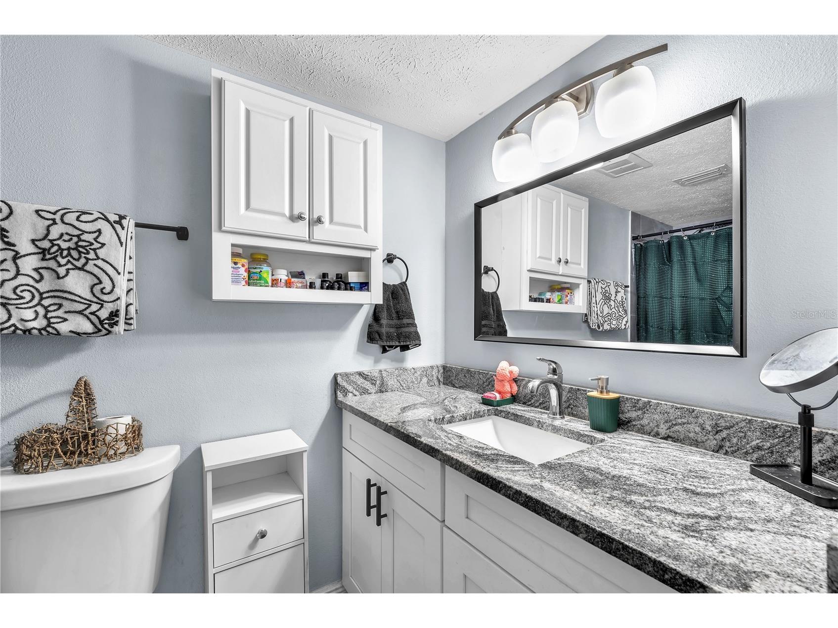13020 672 Highway Riverview FL 33579 TB8469970 image19