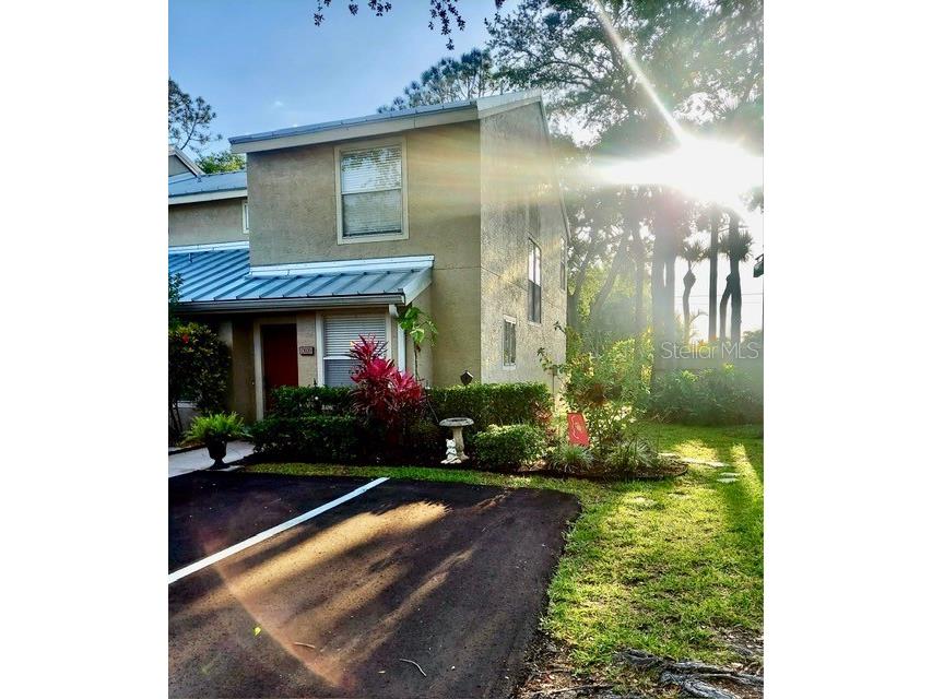 13020 Lorna Place Tampa FL 33618 TB8464654 image1