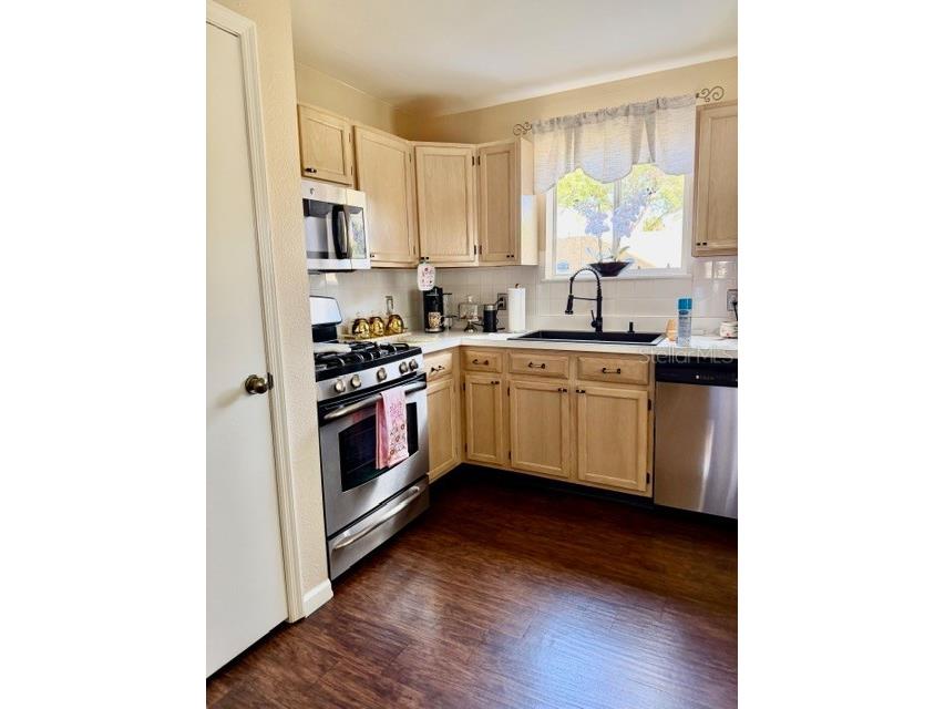 13020 Lorna Place Tampa FL 33618 TB8464654 image10