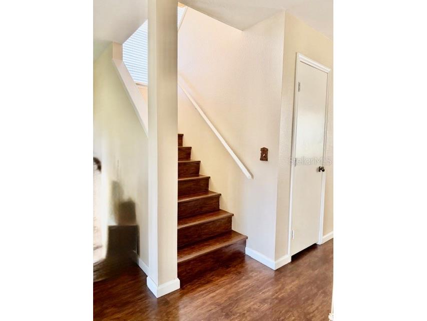 13020 Lorna Place Tampa FL 33618 TB8464654 image17