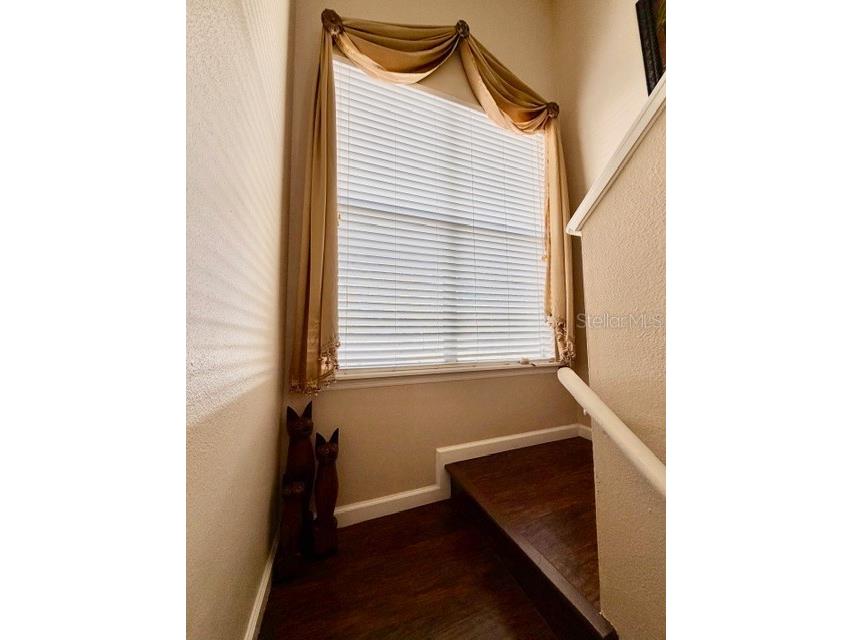 13020 Lorna Place Tampa FL 33618 TB8464654 image18