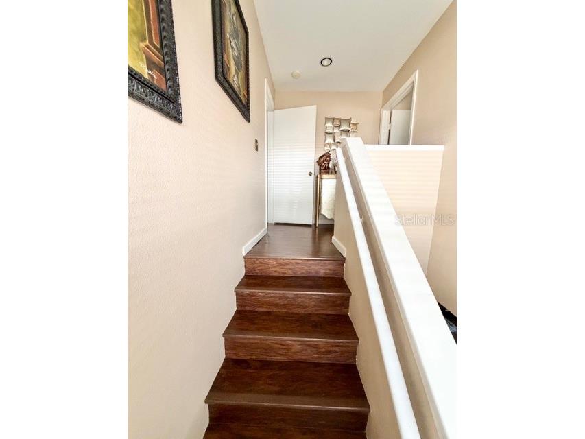 13020 Lorna Place Tampa FL 33618 TB8464654 image19