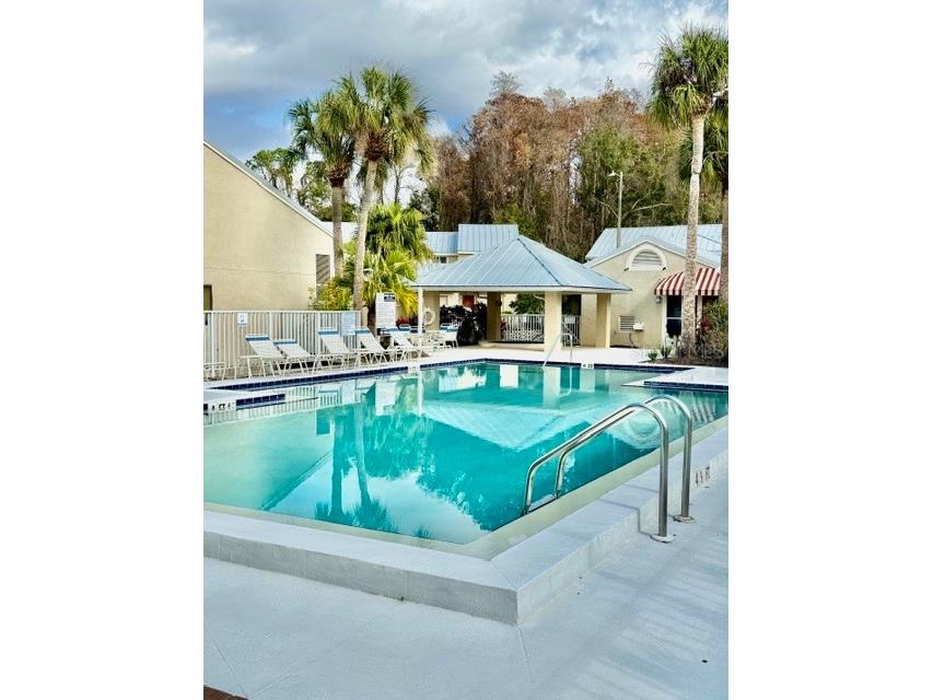 13020 Lorna Place Tampa FL 33618 TB8464654 image40