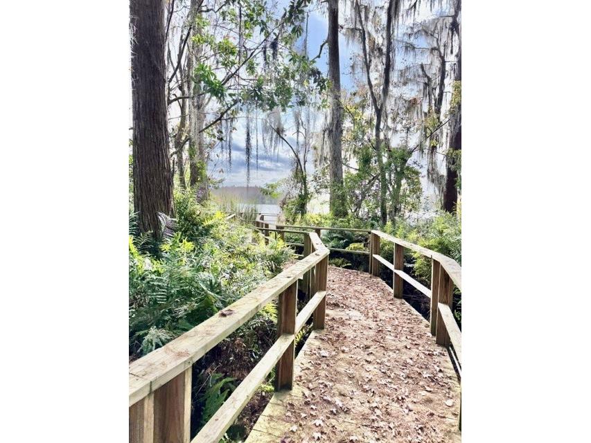 13020 Lorna Place Tampa FL 33618 TB8464654 image41