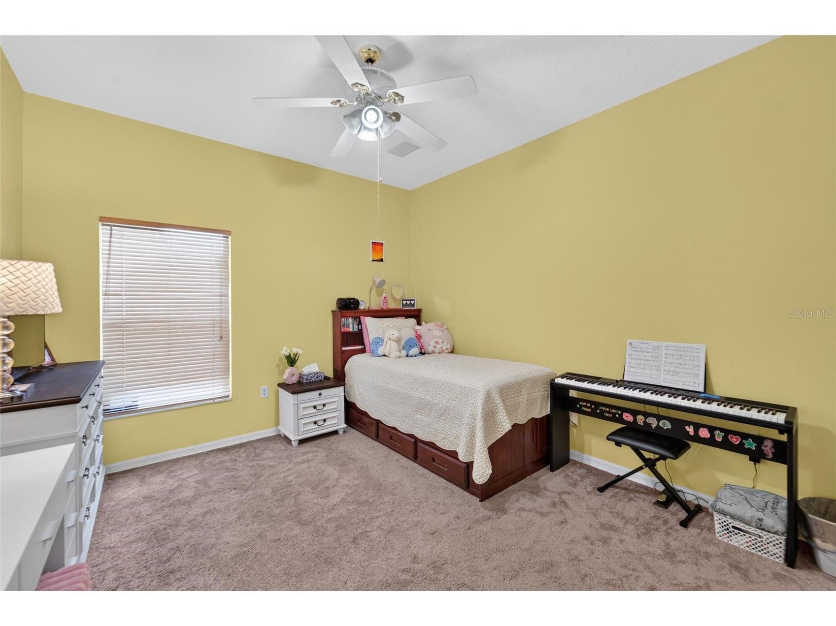 13020 Shadow Run Boulevard Riverview FL 33569 TB8527406 image35