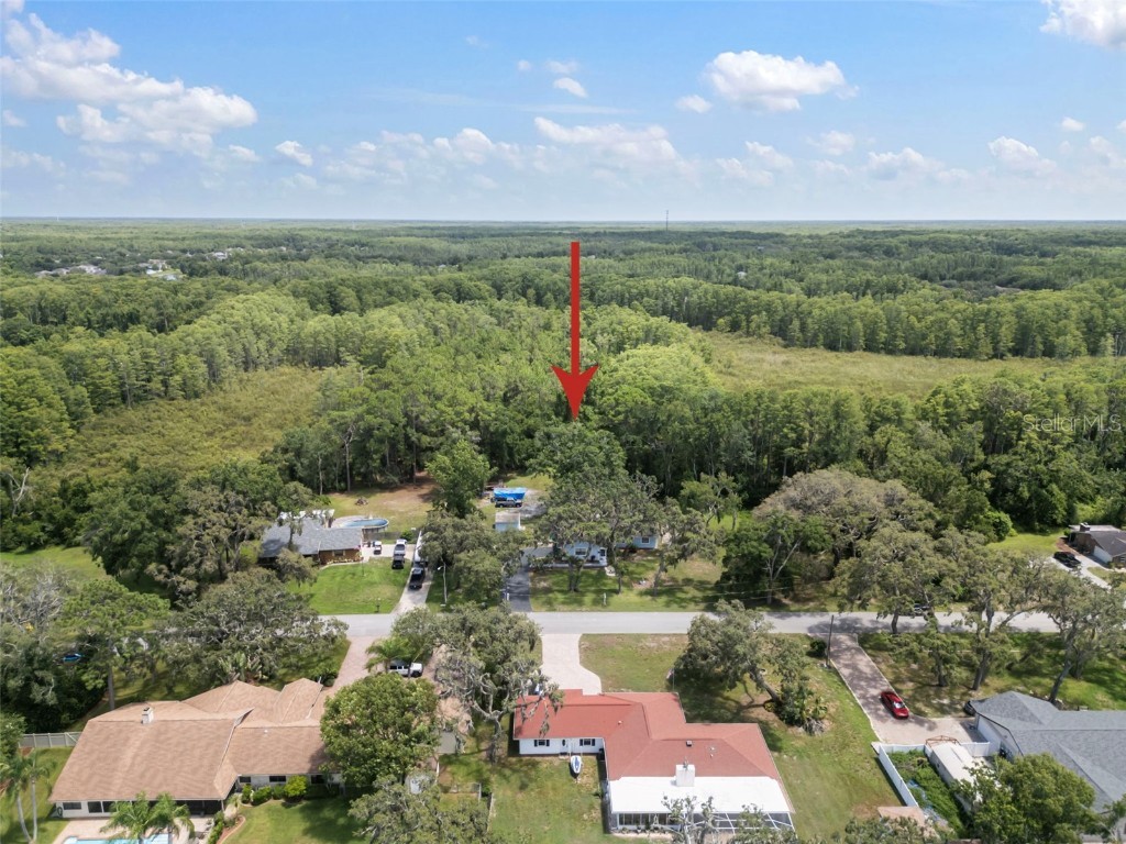 13020 Sugar Creek Boulevard Hudson FL 34669 TB8407114 image6