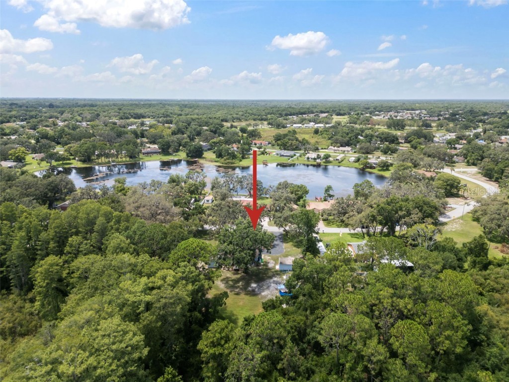 13020 Sugar Creek Boulevard Hudson FL 34669 TB8407114 image7