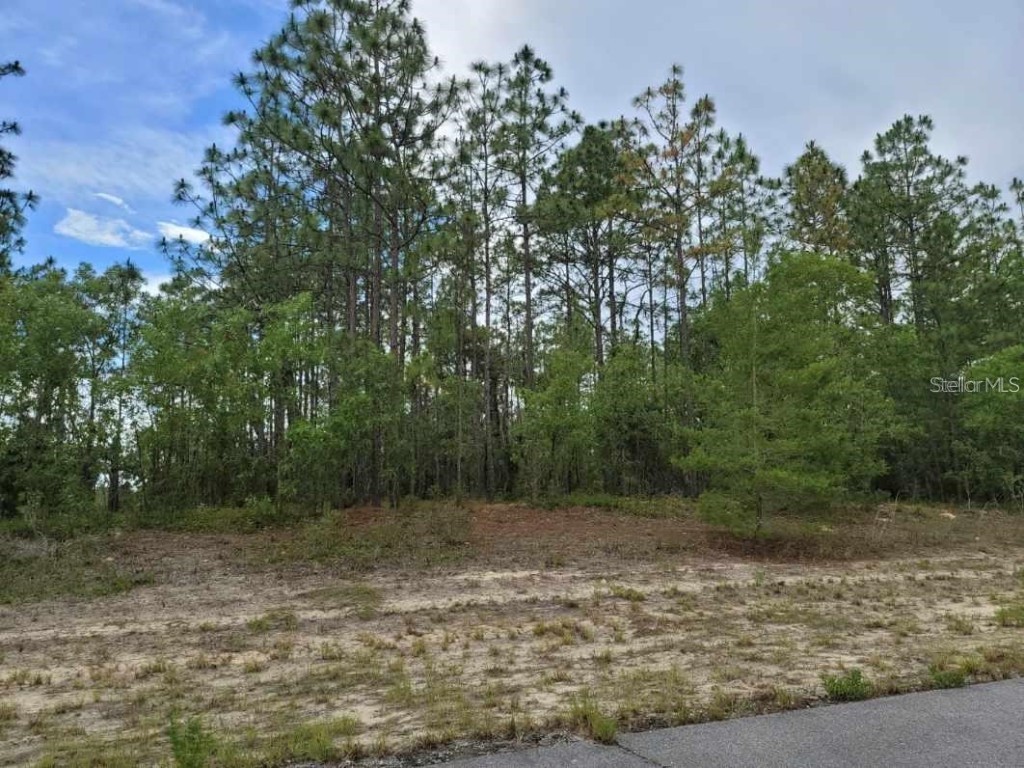 13020 SW 86 Court Ocala FL 34473 G5049913 image1