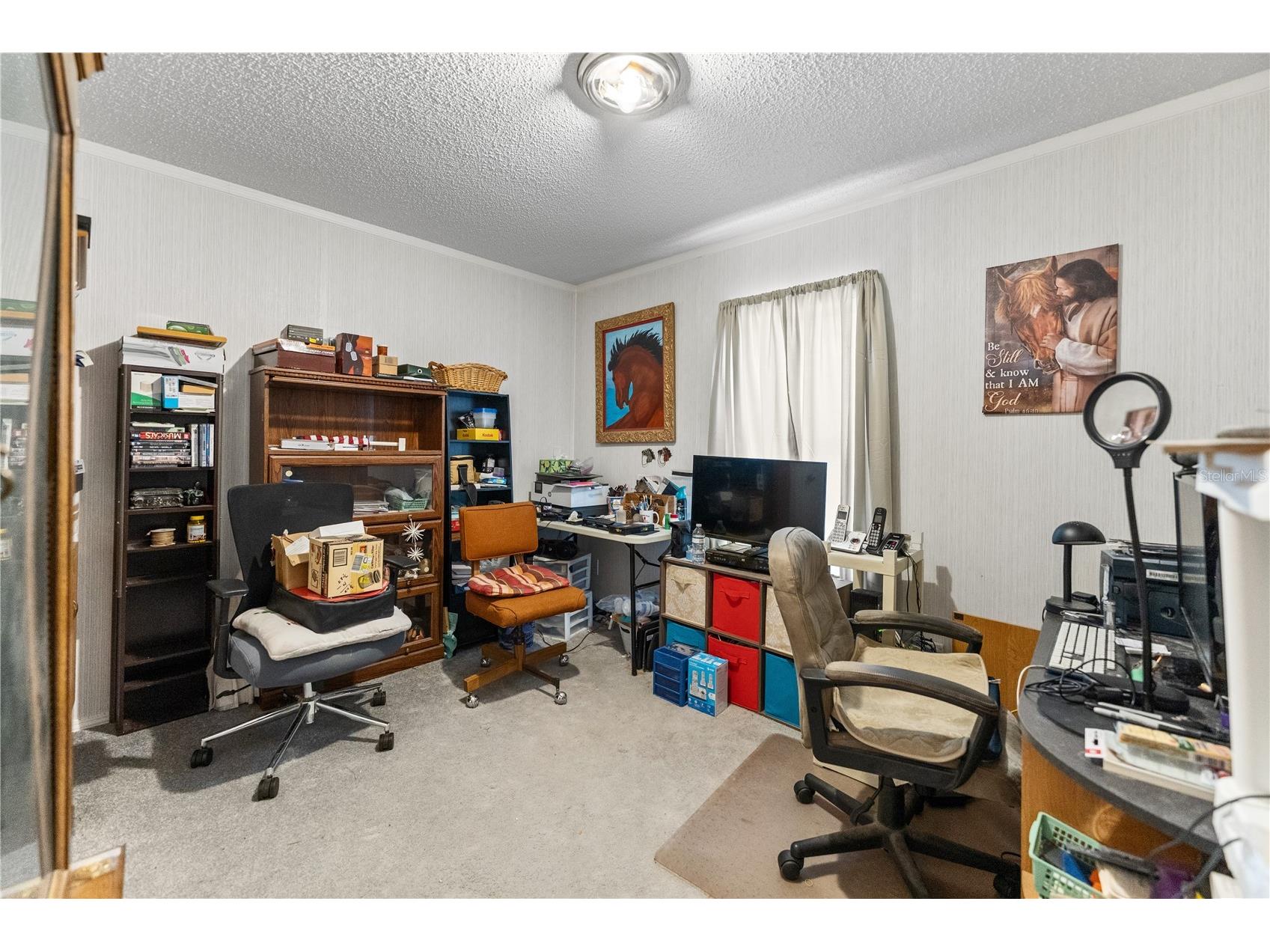 13020 Webster Street Brooksville FL 34613 TB8524677 image21