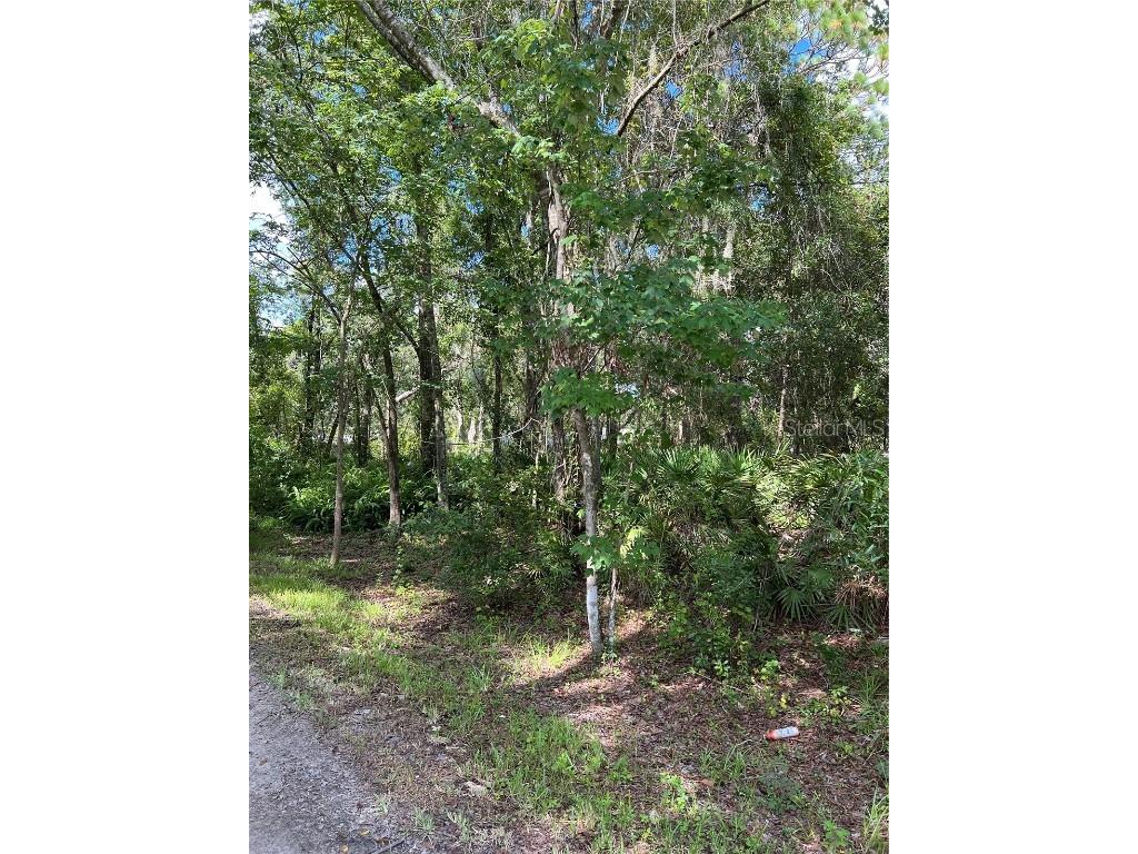 13021-31 Fuller Avenue New Port Richey FL 34654 T3470425 image1