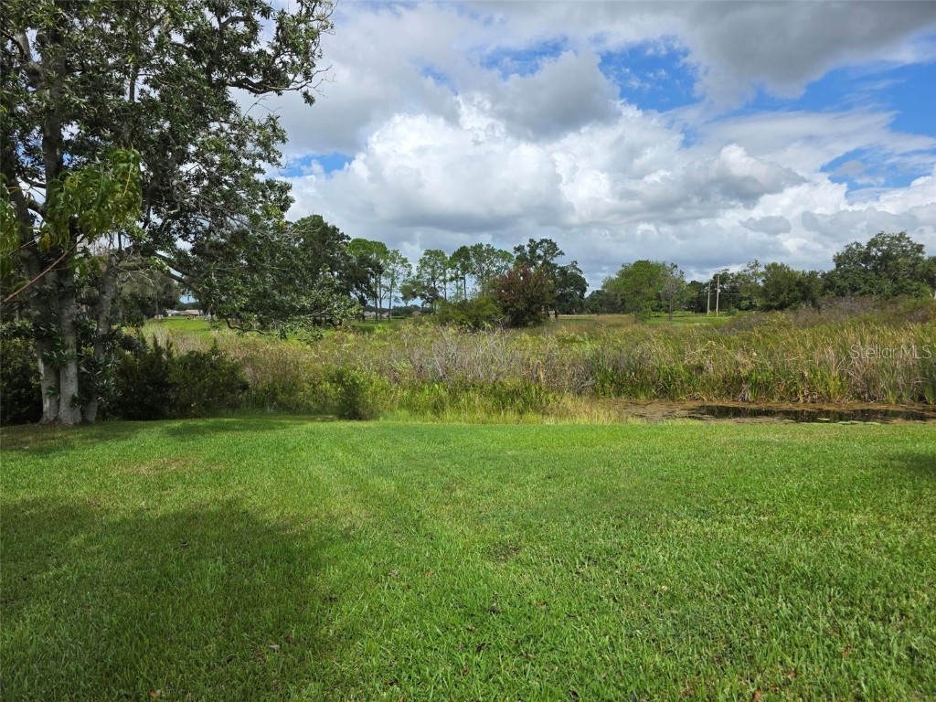 13021 Pinnacle Lane Hudson FL 34669 - DRAINAGE LAKE W7880301 image11