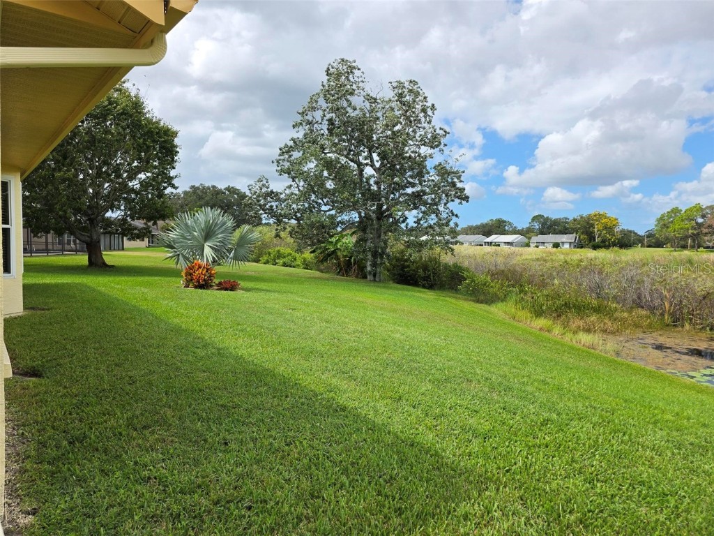 13021 Pinnacle Lane Hudson FL 34669 - DRAINAGE LAKE W7880301 image12