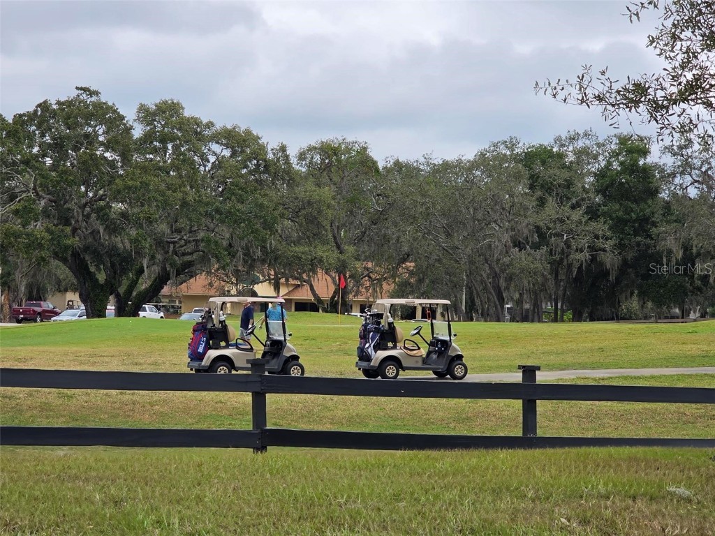 13021 Pinnacle Lane Hudson FL 34669 - DRAINAGE LAKE W7880301 image13