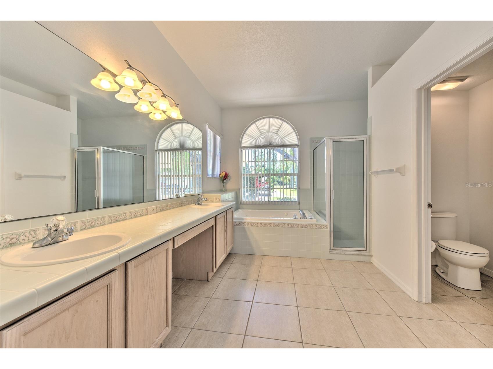 13022 Carlington Lane Riverview FL 33579 TB8500644 image24