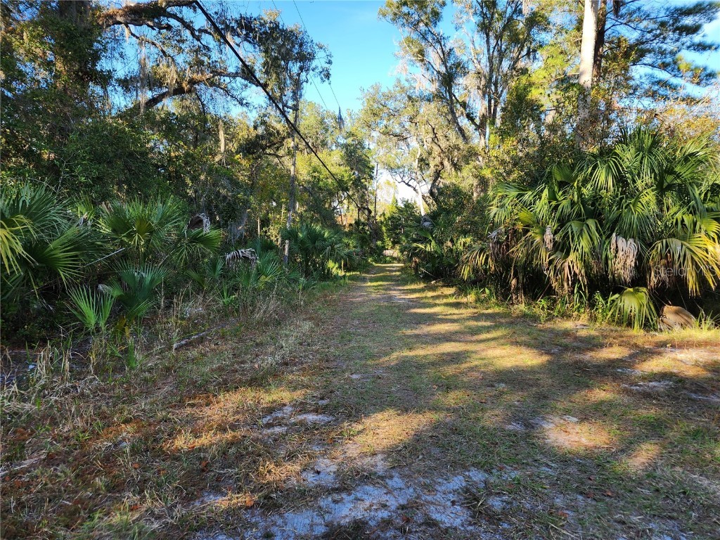 13022 E Shawnee Trail Inverness FL 34450 TB8451203 image2