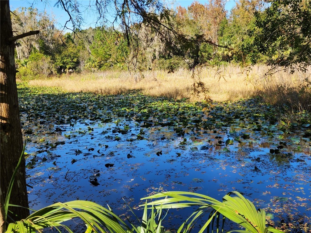 13022 E Shawnee Trail Inverness FL 34450 TB8451203 image3