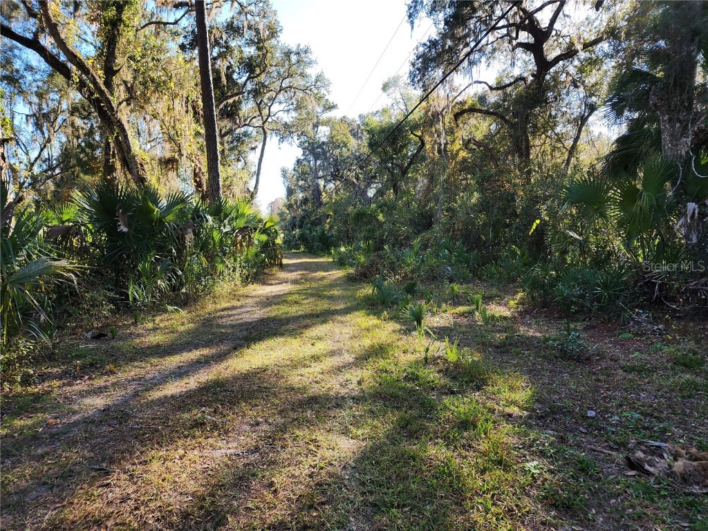 13022 E Shawnee Trail Inverness FL 34450 TB8451203 image38