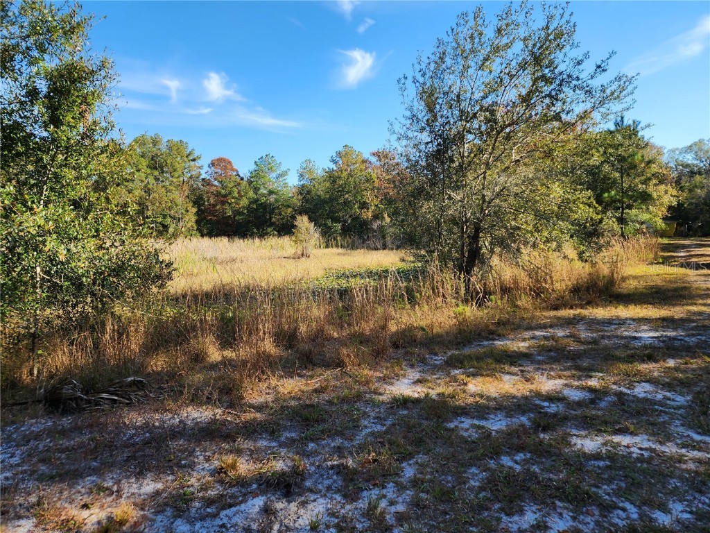 13022 E Shawnee Trail Inverness FL 34450 TB8451203 image39