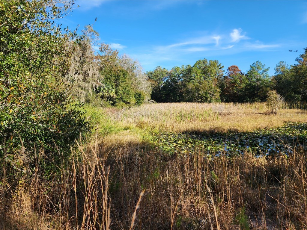 13022 E Shawnee Trail Inverness FL 34450 TB8451203 image40