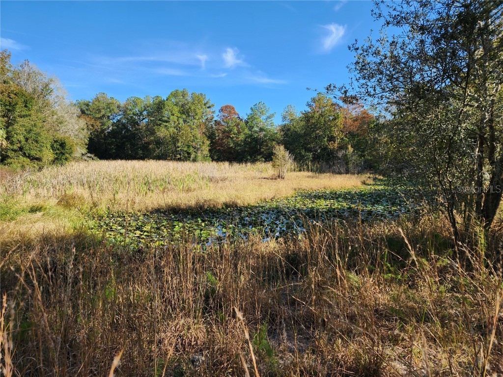 13022 E Shawnee Trail Inverness FL 34450 TB8451203 image41