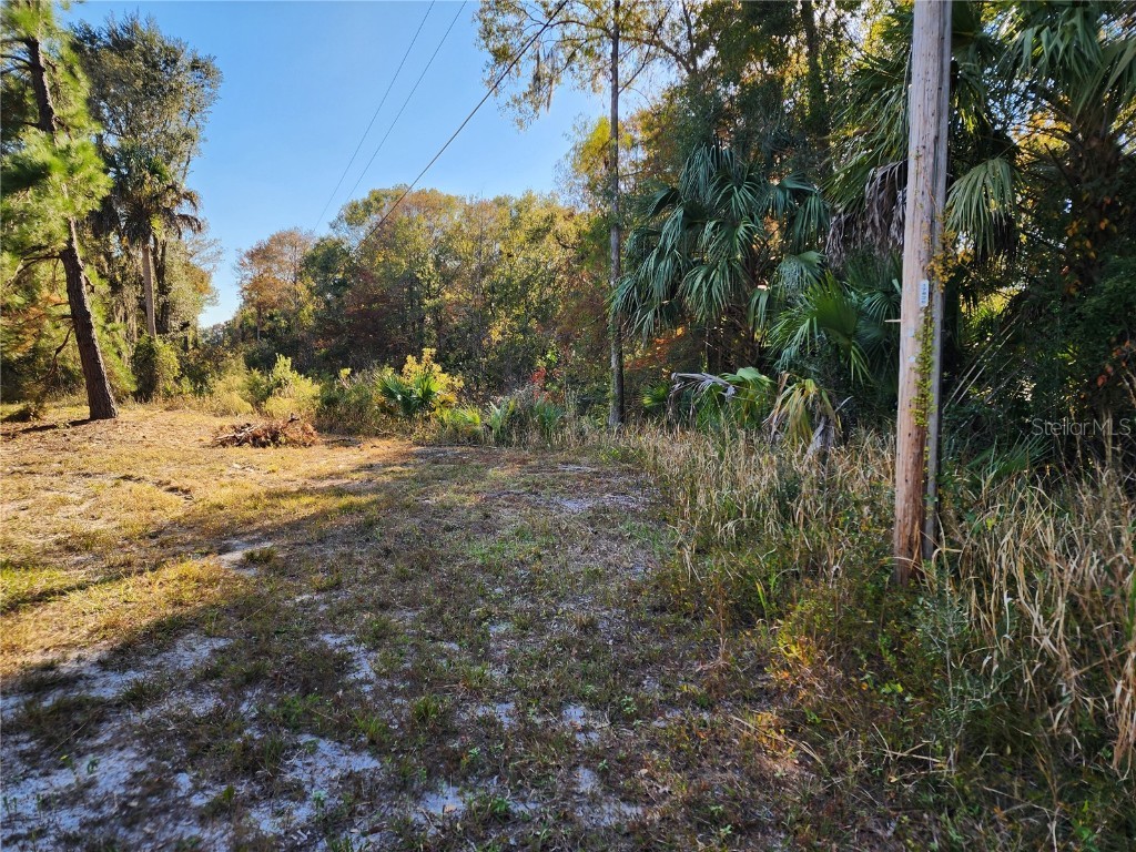 13022 E Shawnee Trail Inverness FL 34450 TB8451203 image42