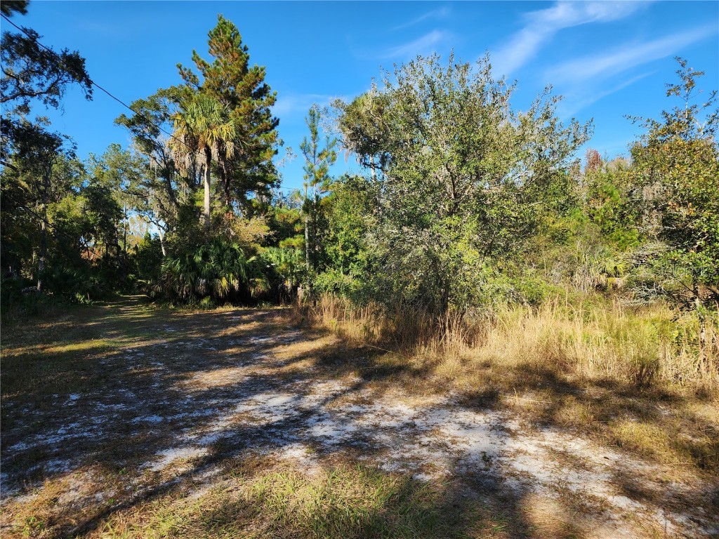 13022 E Shawnee Trail Inverness FL 34450 TB8451203 image43