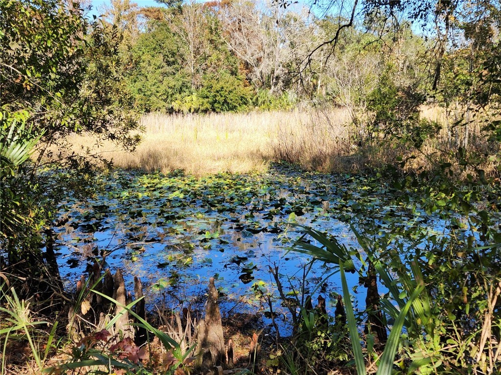 13022 E Shawnee Trail Inverness FL 34450 TB8451203 image45