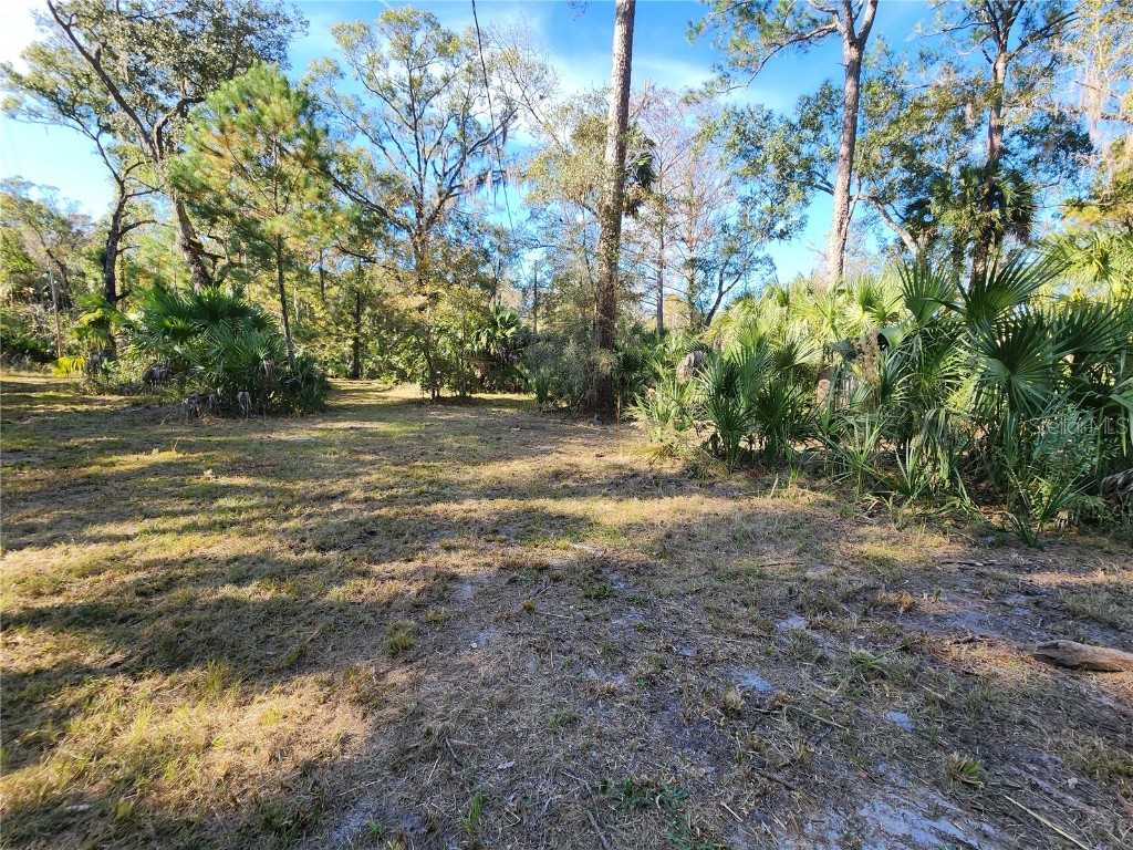 13022 E Shawnee Trail Inverness FL 34450 TB8451203 image47