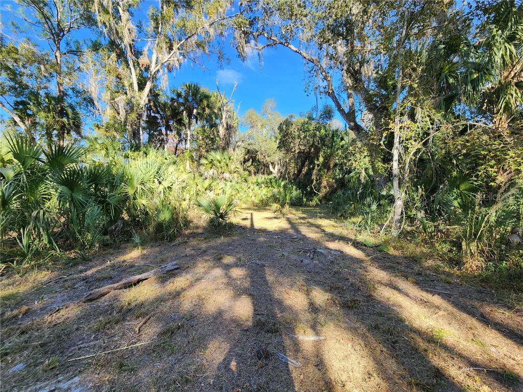 13022 E Shawnee Trail Inverness FL 34450 TB8451203 image48