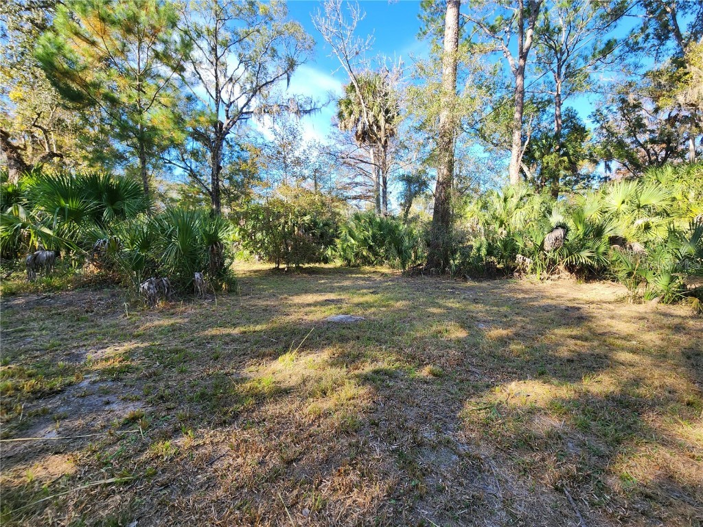 13022 E Shawnee Trail Inverness FL 34450 TB8451203 image49