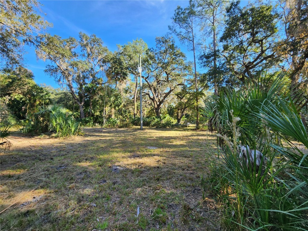 13022 E Shawnee Trail Inverness FL 34450 TB8451203 image51