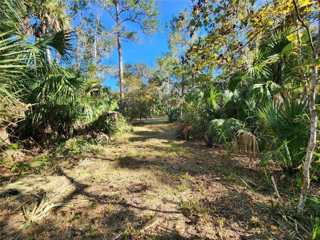 13022 E Shawnee Trail Inverness FL 34450 TB8451203 image52