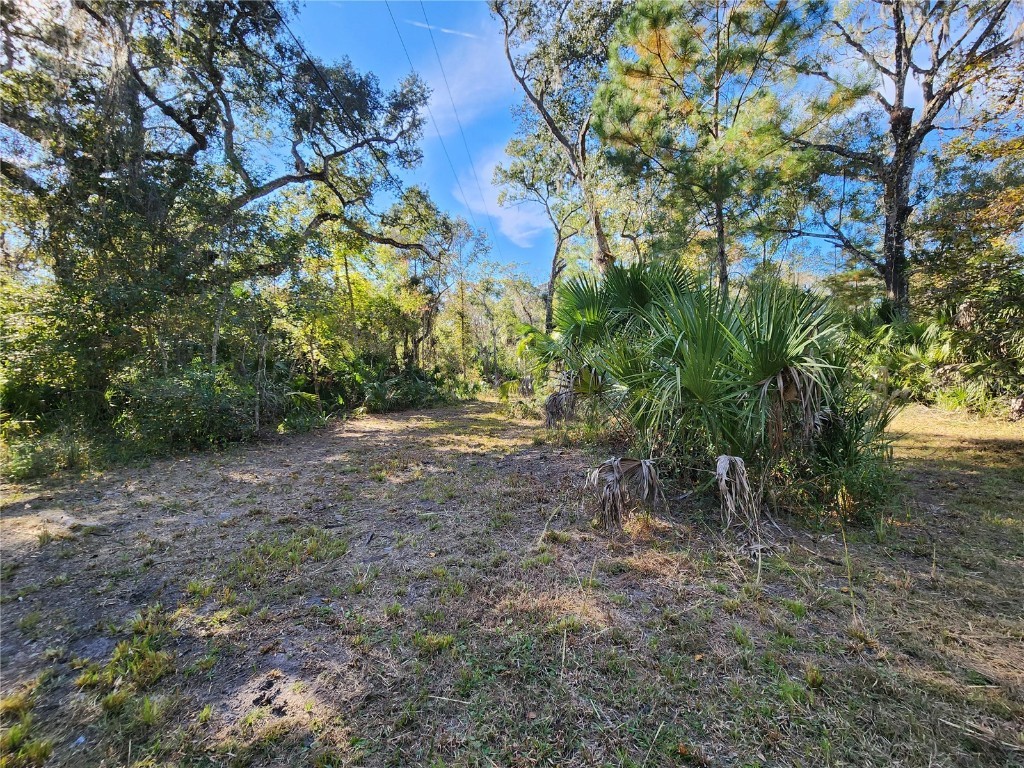 13022 E Shawnee Trail Inverness FL 34450 TB8451203 image54