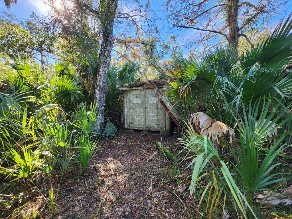 13022 E Shawnee Trail Inverness FL 34450 TB8451203 image64