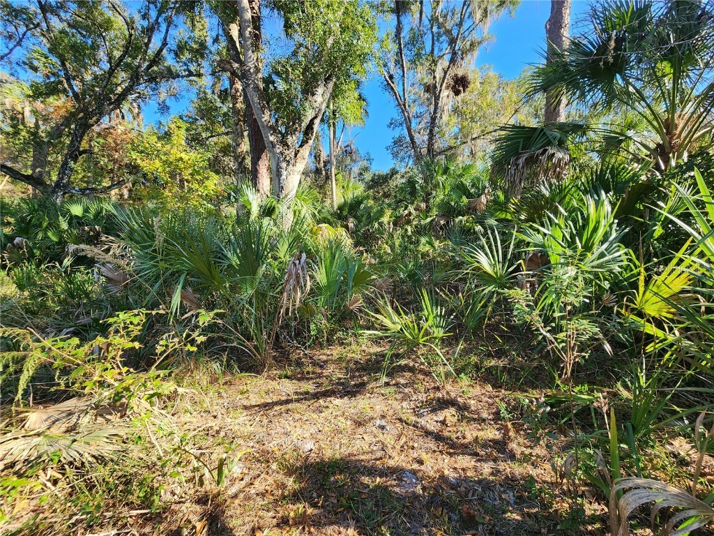 13022 E Shawnee Trail Inverness FL 34450 TB8451203 image72