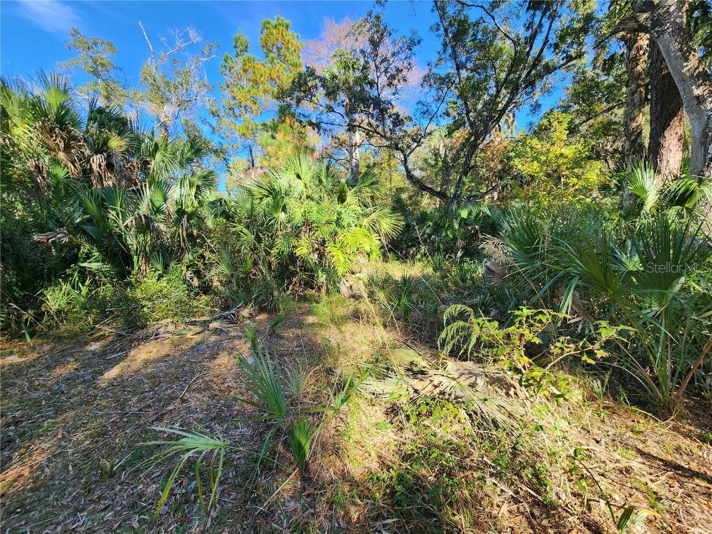 13022 E Shawnee Trail Inverness FL 34450 TB8451203 image73