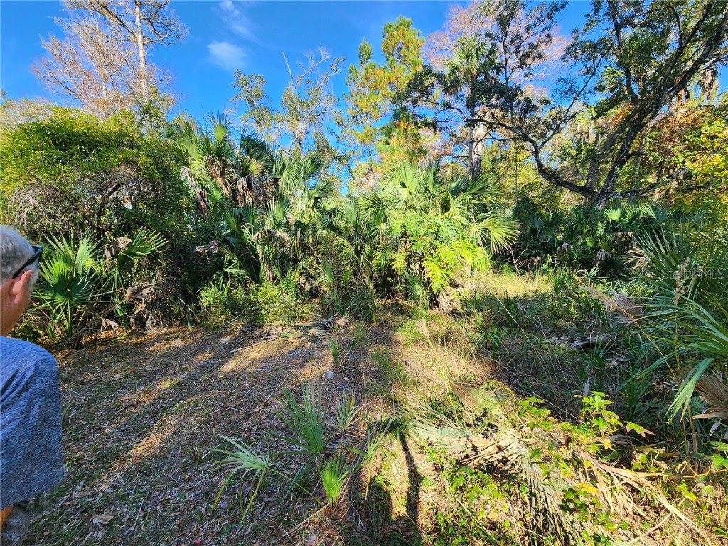 13022 E Shawnee Trail Inverness FL 34450 TB8451203 image74