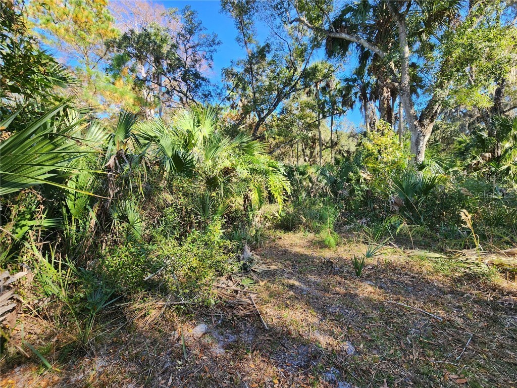 13022 E Shawnee Trail Inverness FL 34450 TB8451203 image75