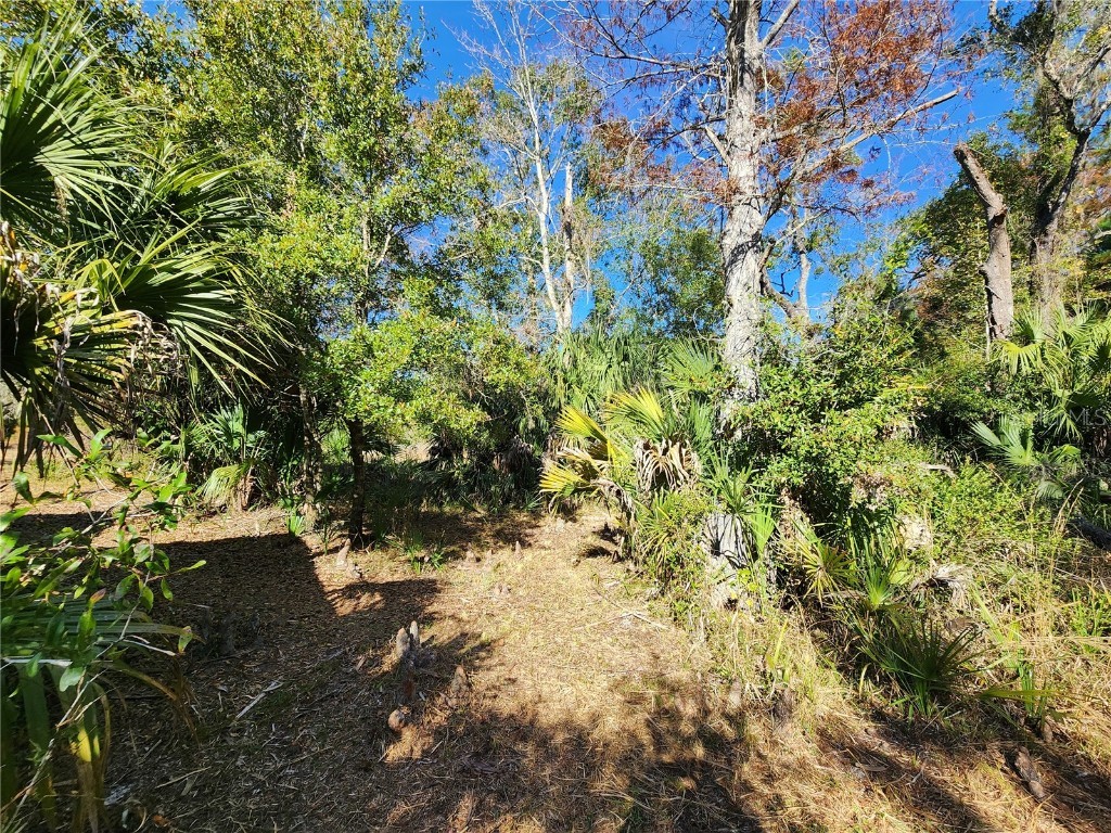 13022 E Shawnee Trail Inverness FL 34450 TB8451203 image76