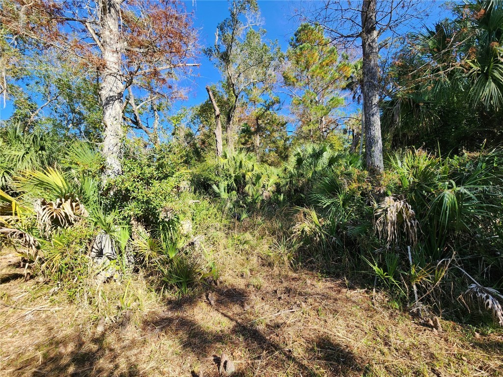 13022 E Shawnee Trail Inverness FL 34450 TB8451203 image77